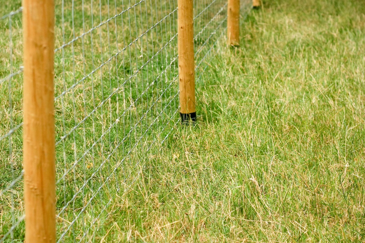 Clôture